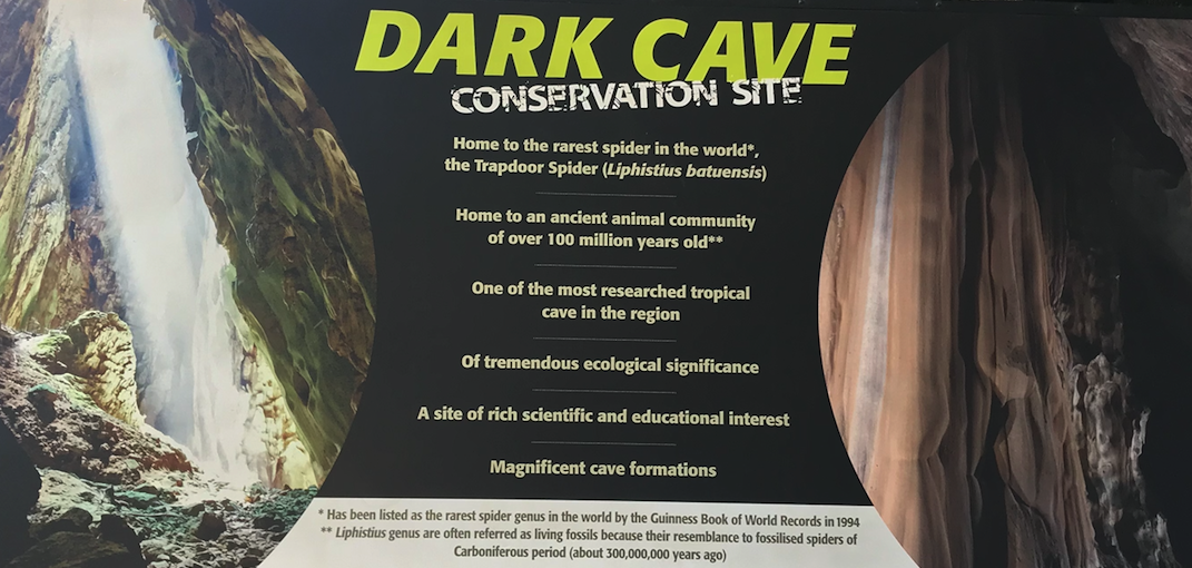 Dark Cave Conservation Site 