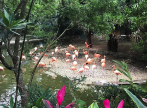 Flamingo part at OCT East Shenzhen